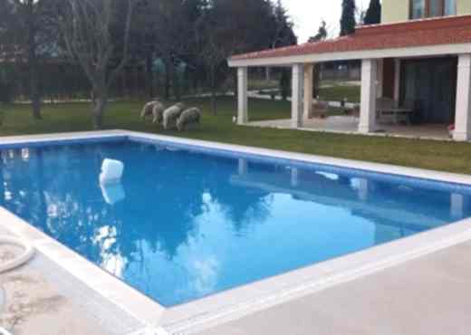 Çatalca Kestaneköy Projesi